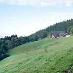 Apartment Kapfenmathishof Urlaubsbauernhof *
