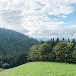 公寓 Kapfenmathishof Urlaubsbauernhof 圣彼得