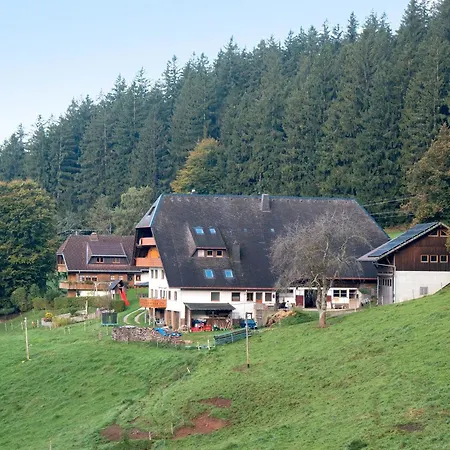 Appartement Kapfenmathishof Urlaubsbauernhof *