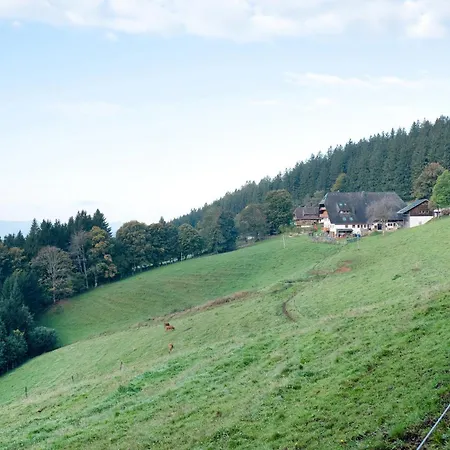 Appartement Kapfenmathishof Urlaubsbauernhof *