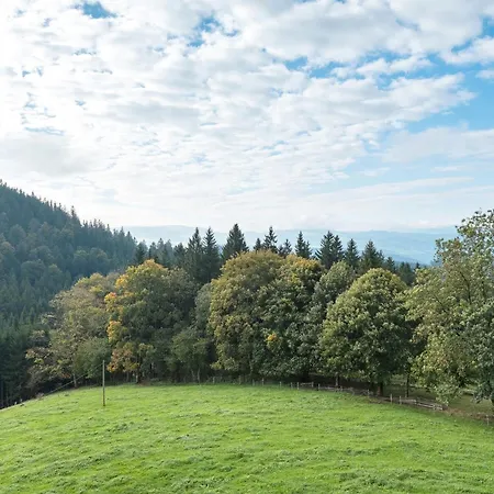 Kapfenmathishof Urlaubsbauernhof Appartement *