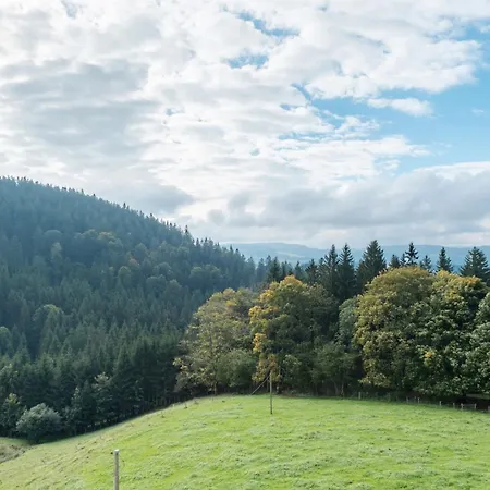 Appartement Kapfenmathishof Urlaubsbauernhof *