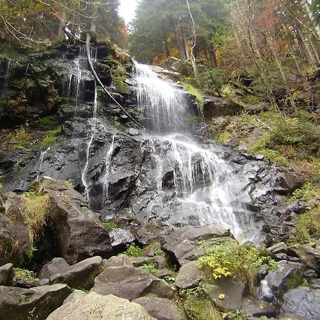 Kapfenmathishof Urlaubsbauernhof Appartement