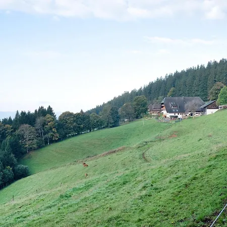 Kapfenmathishof Urlaubsbauernhof * 圣彼得